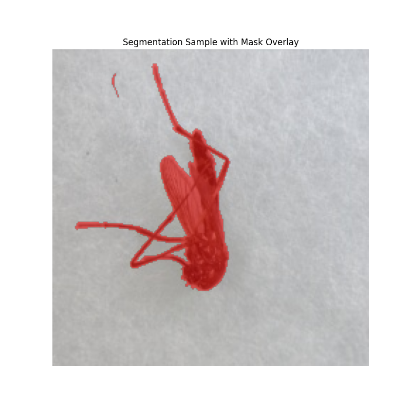 Segmentation Sample with Mask Overlay