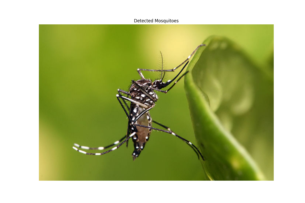Detected Mosquitoes