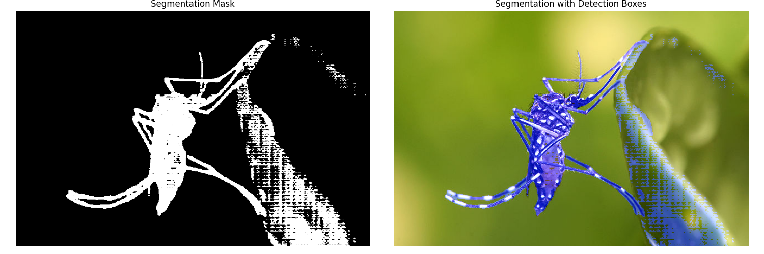 Segmentation Mask, Segmentation with Detection Boxes