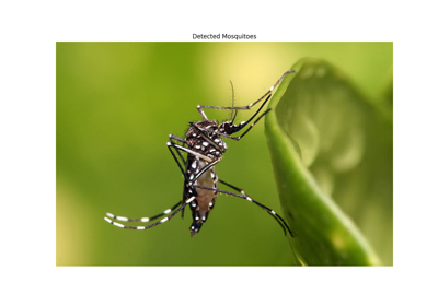 Mosquito Detection Tutorial