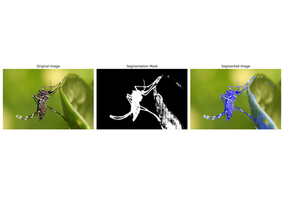 Mosquito Segmentation Tutorial