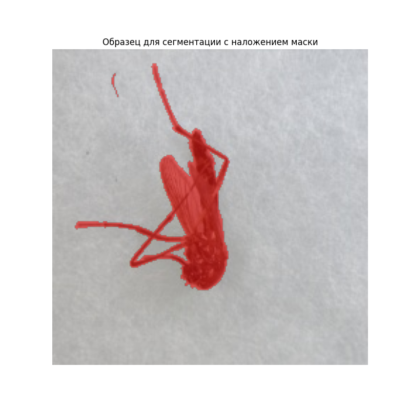 Образец для сегментации с наложением маски