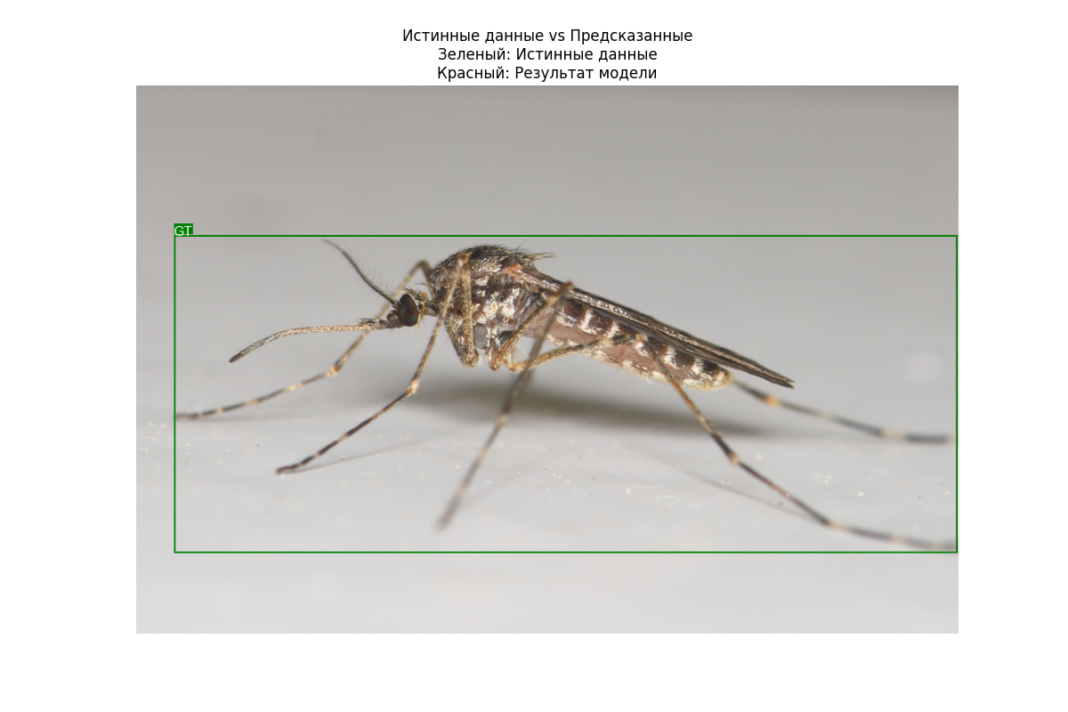 Истинные данные vs Предсказанные Зеленый: Истинные данные Красный: Результат модели