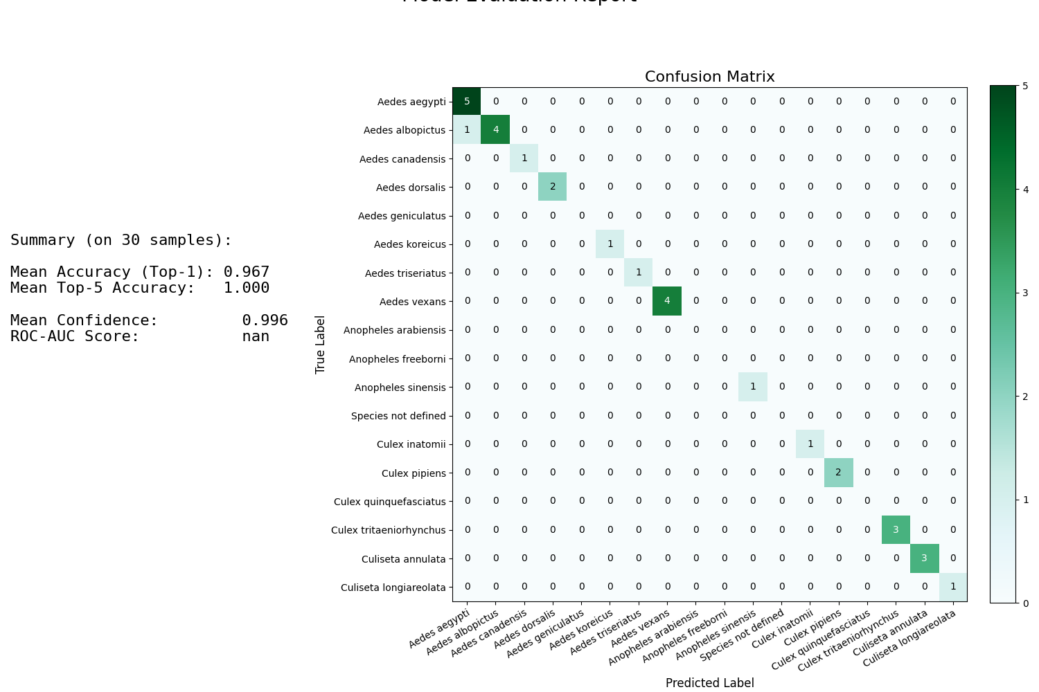 Model Evaluation Report, Confusion Matrix